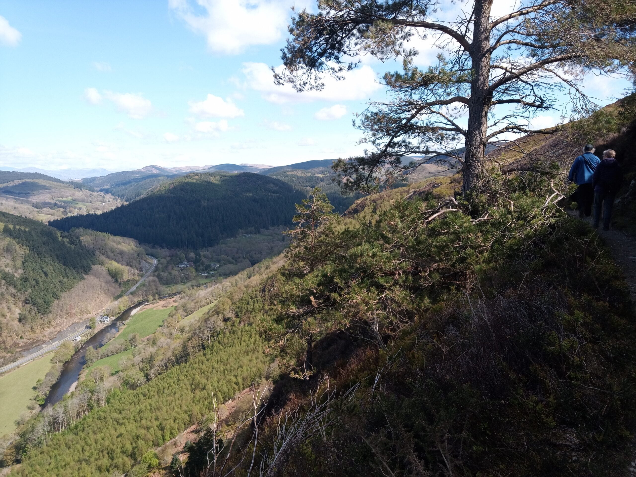 Warden Walk: Precipice