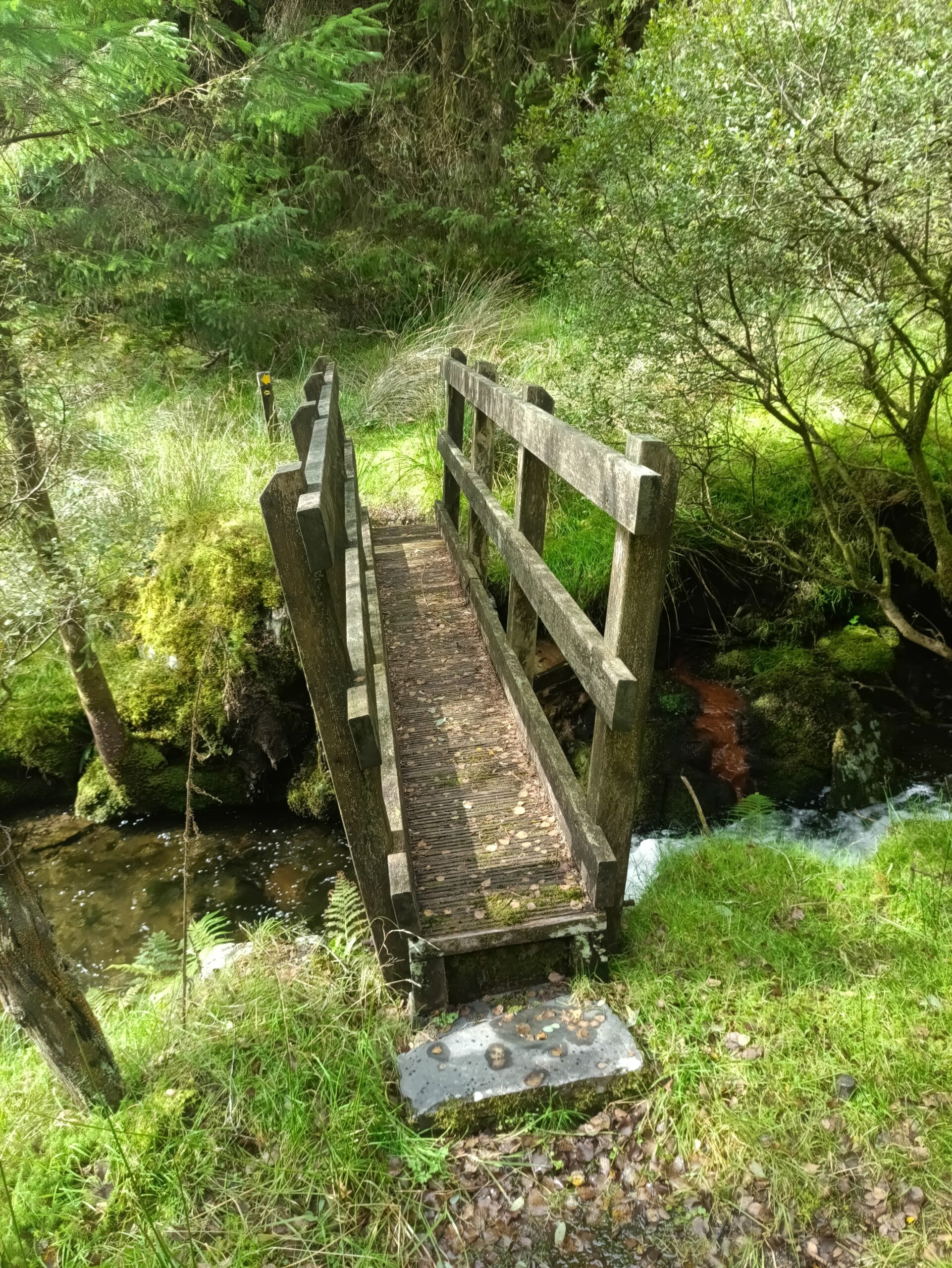 Dolgellau to Machynlleth