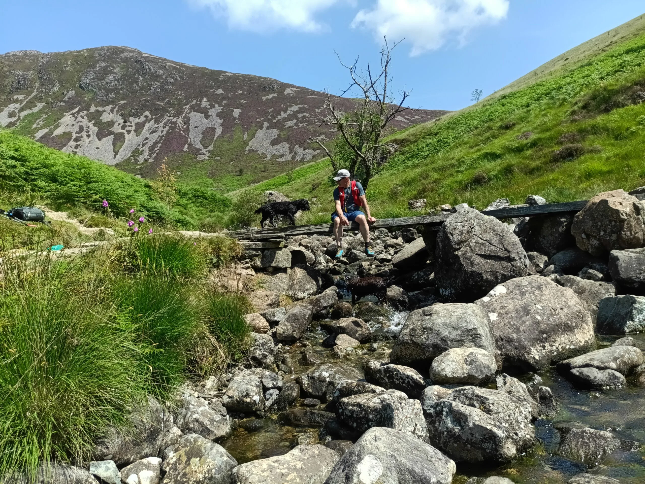 Warden Walk – Llwybr Minffordd Circular